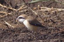 20120220_249.jpg