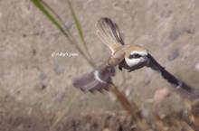 20120220_260.jpg