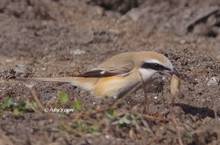 20120220_263.jpg