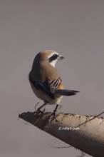 20120220_327.jpg