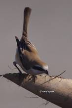 20120220_341.jpg