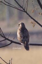 20120220_419.jpg