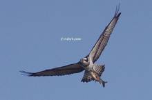 20120223_060.jpg