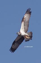 20120223_071.jpg