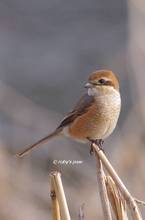 20120223_143.jpg