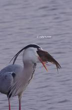 20120223_253.jpg