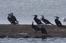 20120226_007.jpg