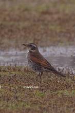 20120226_152.jpg