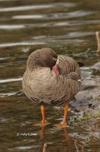 20120226_289.jpg