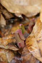 20120302_029.jpg