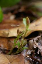 20120302_032.jpg