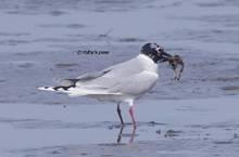 20120303_153.jpg