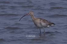 20120303_179.jpg