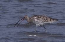 20120303_189.jpg