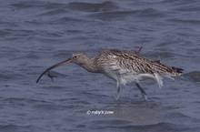 20120303_191.jpg