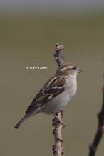 20120303_311.jpg