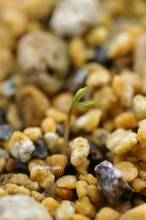 20120309_006.jpg