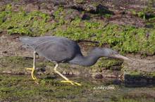 20120314_364.jpg