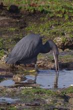 20120314_417.jpg
