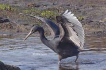 20120314_486.jpg
