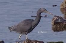 20120314_521.jpg
