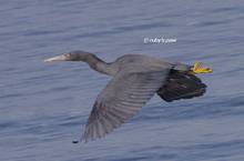 20120314_628.jpg