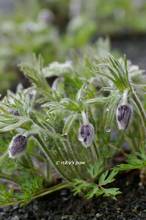 20120317_011.jpg
