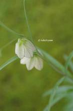 20120317_033.jpg