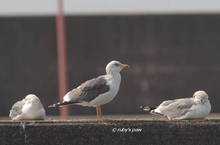 20120324_012.jpg
