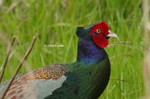 20120324_052.jpg