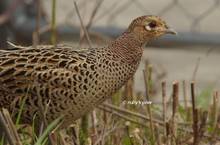 20120324_066.jpg