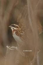 20120324_072.jpg