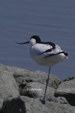 20120406_082.jpg