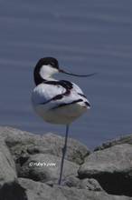 20120406_109.jpg