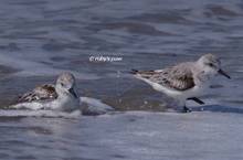 20120407_174.jpg