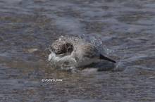 20120407_225.jpg