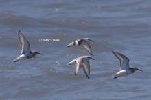 20120407_376.jpg