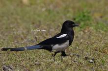 20120407_405.jpg
