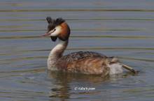 20120408_170.jpg
