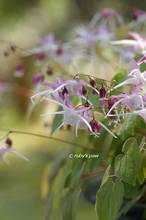 20120409_004.jpg