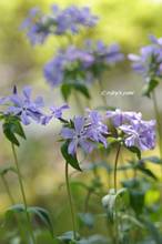 20120409_008.jpg