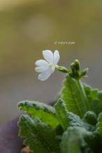20120412_027.jpg