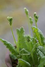 20120412_036.jpg