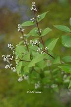 20120414_005.jpg