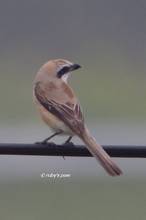 20120415_157.jpg