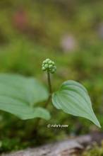 20120420_024.jpg