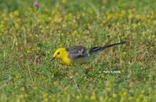 20120422_222.jpg