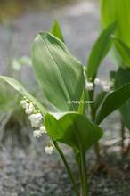 20120424_001.jpg