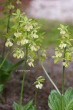 20120425_020.jpg
