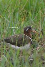 20120425_142.jpg